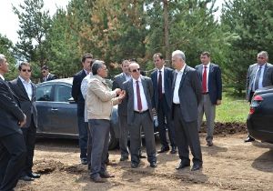 Yanan ormanlık alanı ağaçlandırıyor